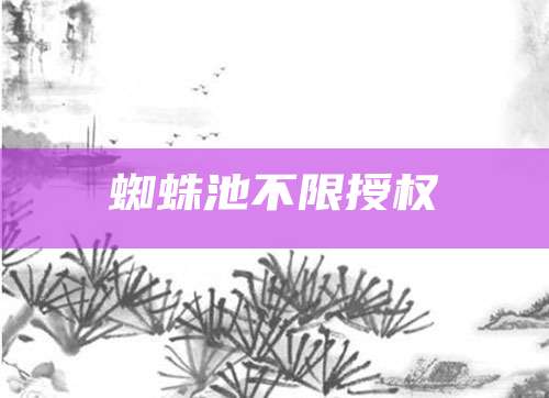 蜘蛛池不限授权