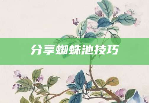 分享蜘蛛池技巧