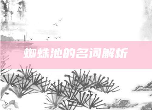 蜘蛛池的名词解析