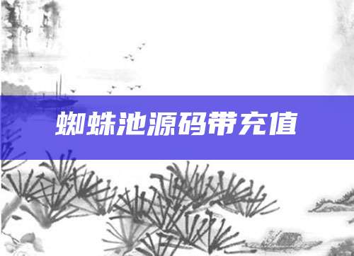 蜘蛛池源码带充值