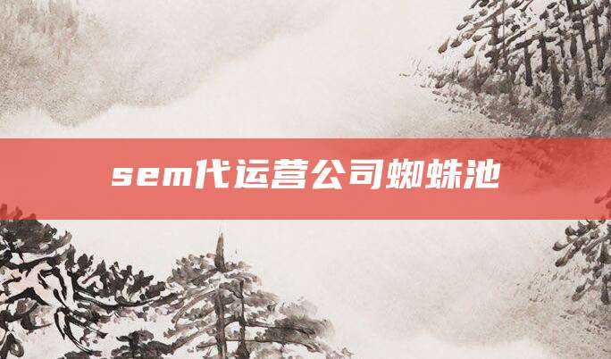 sem代运营公司蜘蛛池