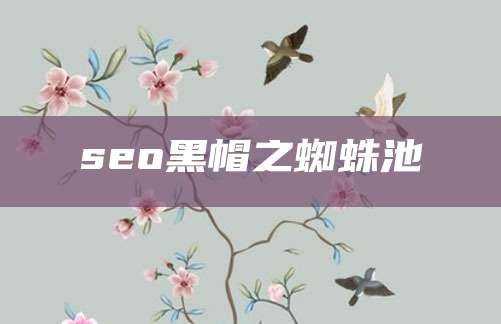 seo黑帽之蜘蛛池