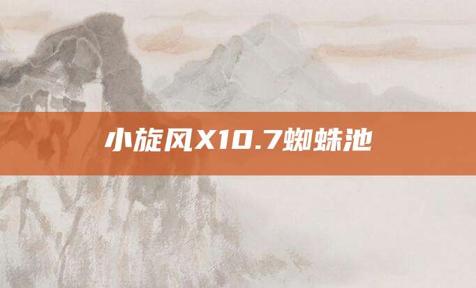 小旋风X10.7蜘蛛池