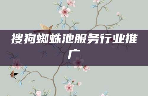 搜狗蜘蛛池服务行业推广