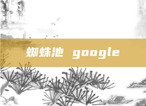 蜘蛛池 google