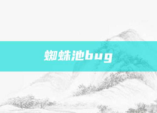 蜘蛛池bug