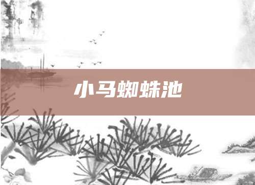 小马蜘蛛池