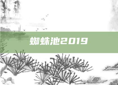 蜘蛛池2019