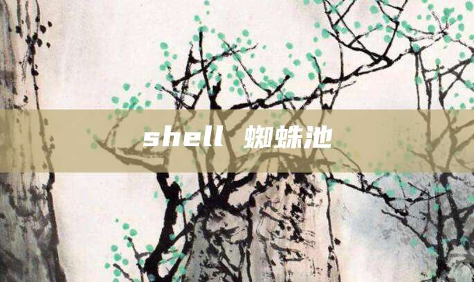 shell 蜘蛛池