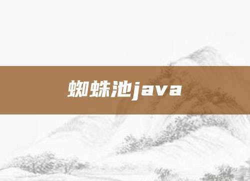 蜘蛛池java