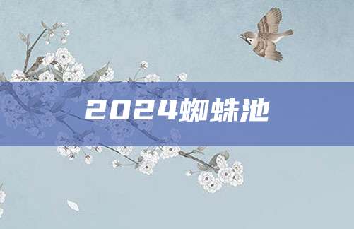 2024蜘蛛池