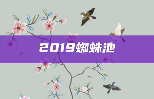 2019蜘蛛池