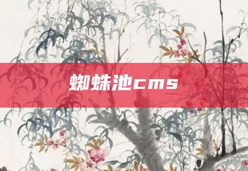 蜘蛛池cms