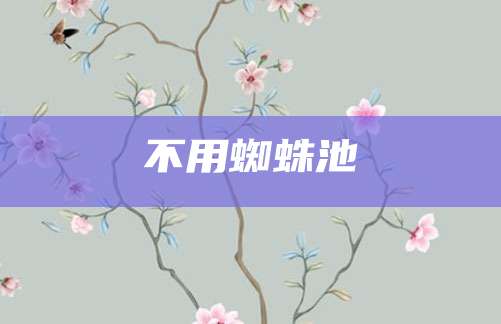 不用蜘蛛池