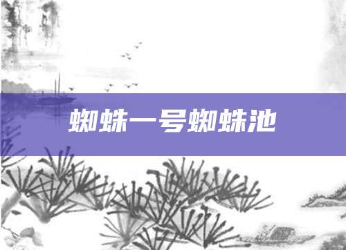 蜘蛛一号蜘蛛池