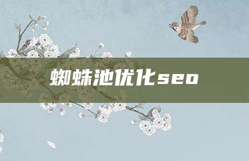 蜘蛛池优化seo