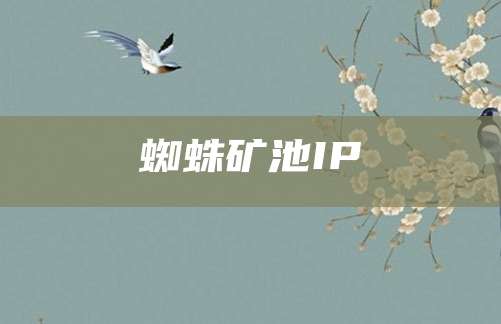 蜘蛛矿池IP