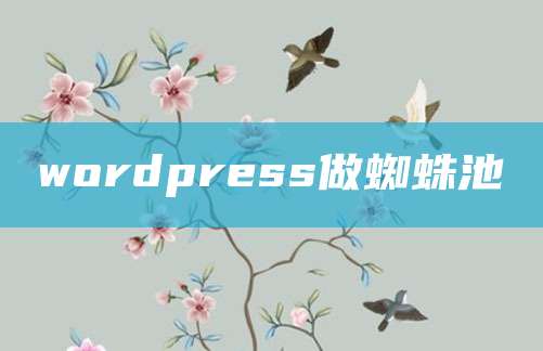 wordpress做蜘蛛池