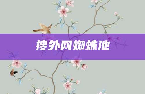 搜外网蜘蛛池