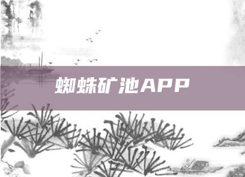 蜘蛛矿池APP