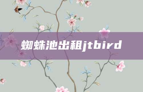 蜘蛛池出租jtbird