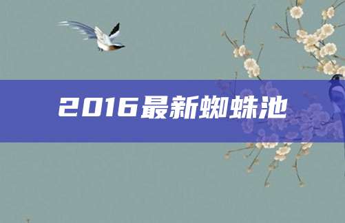 2016最新蜘蛛池