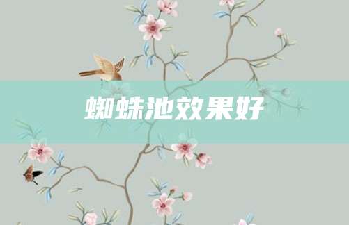 蜘蛛池效果好