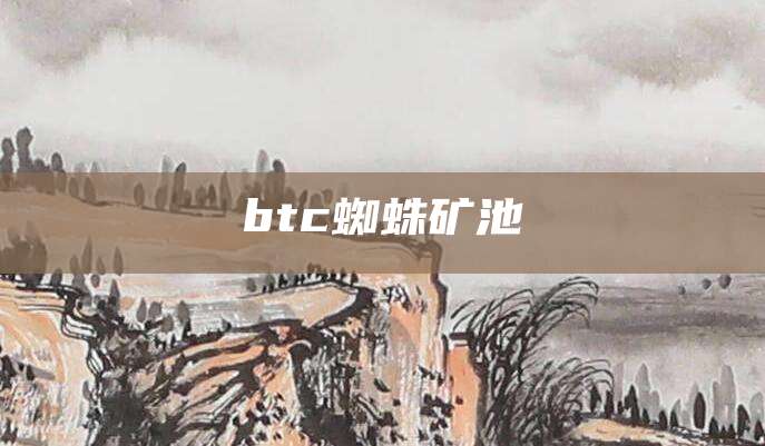 btc蜘蛛矿池