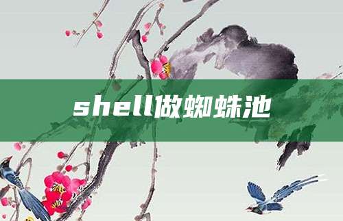 shell做蜘蛛池