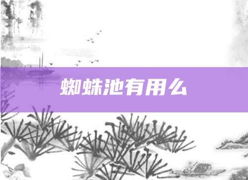 蜘蛛池有用么