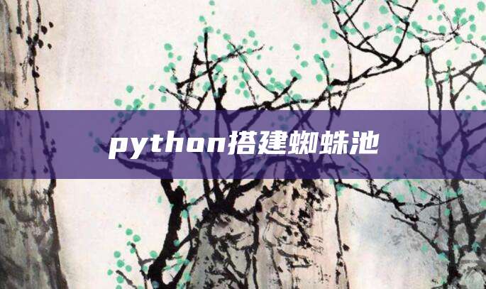 python搭建蜘蛛池