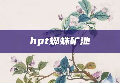 hpt蜘蛛矿池