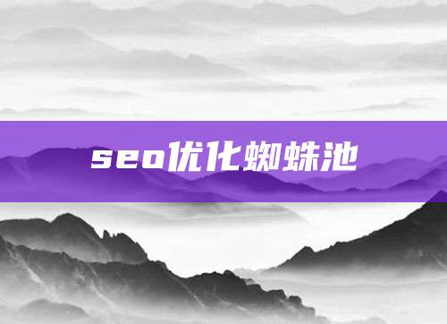 seo优化蜘蛛池