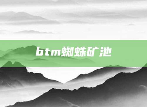 btm蜘蛛矿池