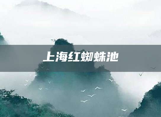 上海红蜘蛛池