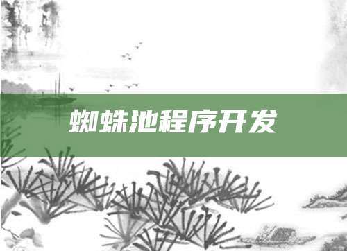 蜘蛛池程序开发