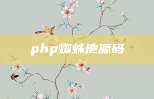 php蜘蛛池源码