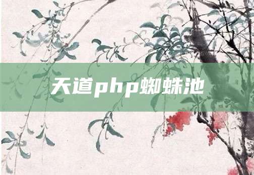 天道php蜘蛛池