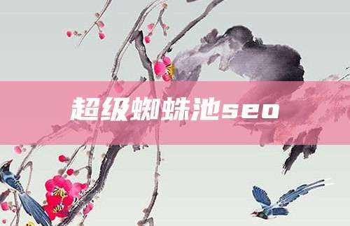 超级蜘蛛池seo