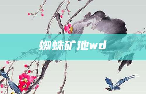 蜘蛛矿池wd