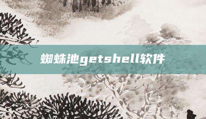 蜘蛛池getshell软件