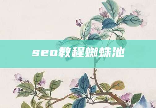 seo教程蜘蛛池