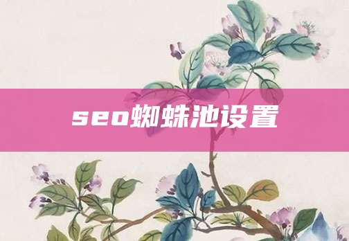 seo蜘蛛池设置