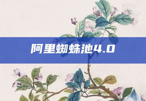 阿里蜘蛛池4.0