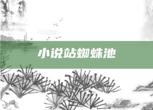 小说站蜘蛛池