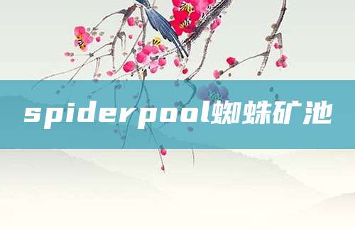 spiderpool蜘蛛矿池