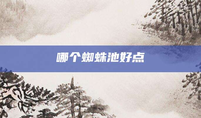 哪个蜘蛛池好点