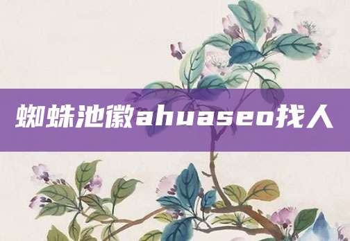 蜘蛛池徽ahuaseo找人