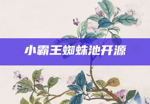 小霸王蜘蛛池开源