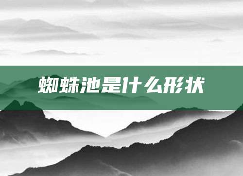 蜘蛛池是什么形状